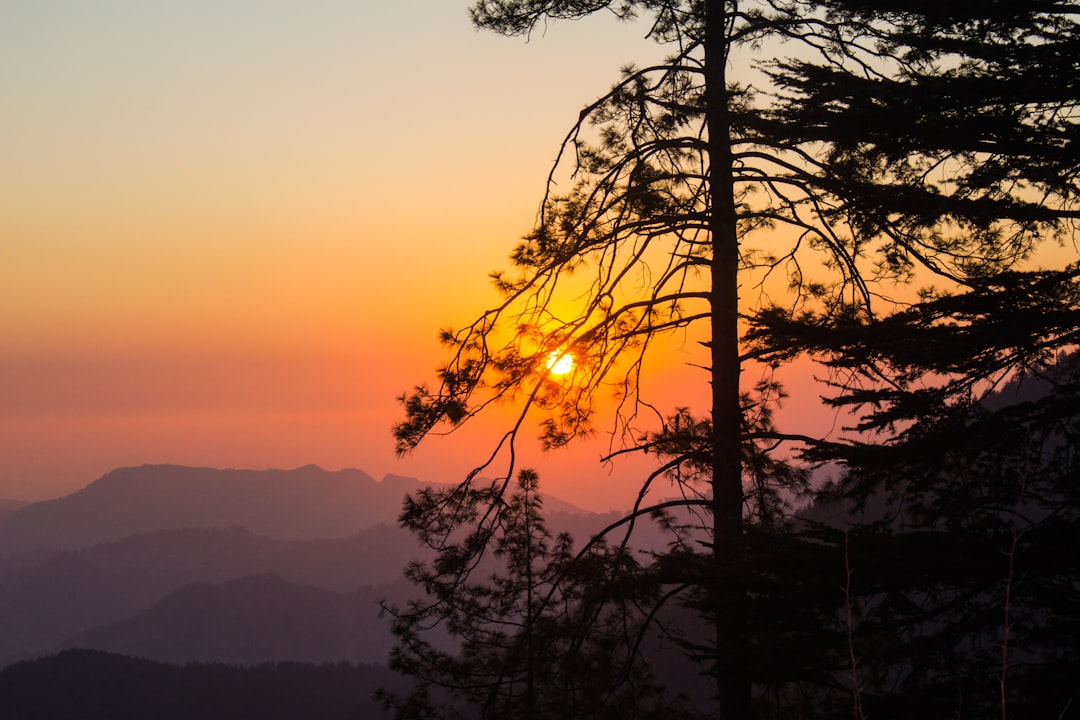 The Unseen Charm of DIY Photography Gear: Crafting Your Way to Stunning Shots